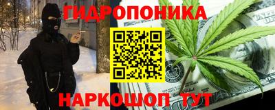 индика Ликино-Дулёво