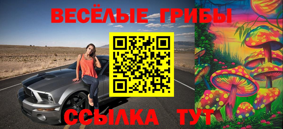 Псилоцибиновые грибы мухоморы Гуково